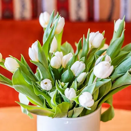 Haus Am Anker 5 Büsum